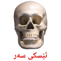 ئێسکی سەر Tarjetas didacticas