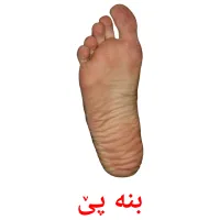 بنە پێ Tarjetas didacticas