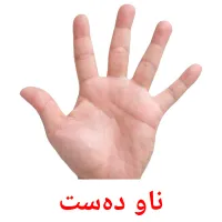 ناو دەست Tarjetas didacticas
