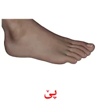 پێ Tarjetas didacticas