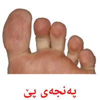 پەنجەی پێ Tarjetas didacticas