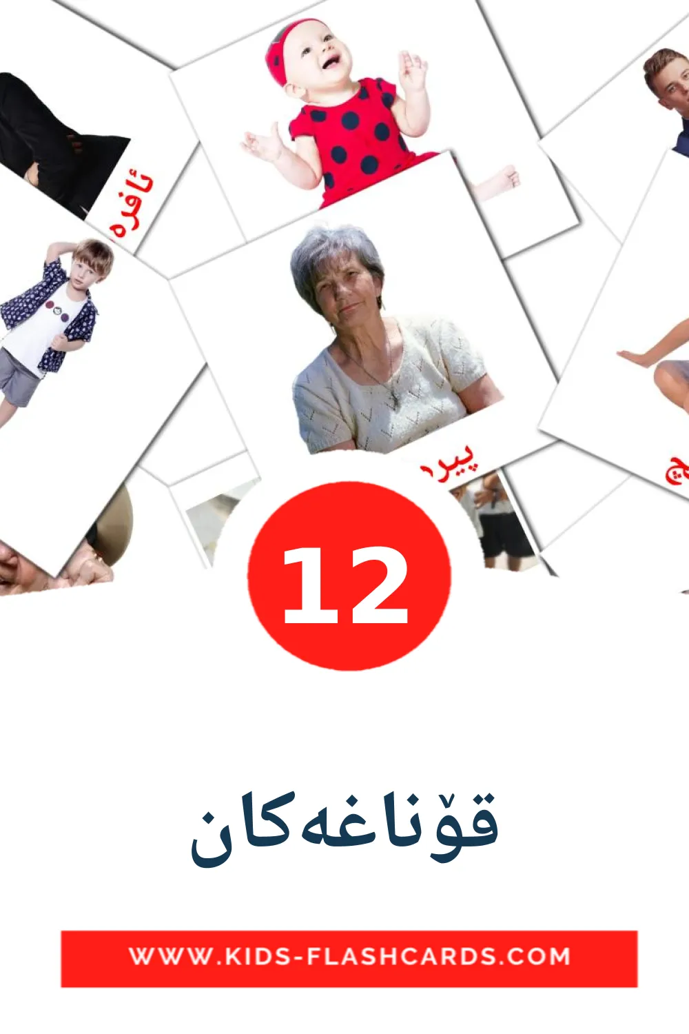 12 cartes illustrées de قۆناغەکان pour la maternelle en kurmanj(kurde)