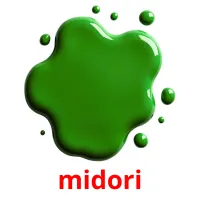 midori Bildkarteikarten