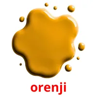 orenji Bildkarteikarten