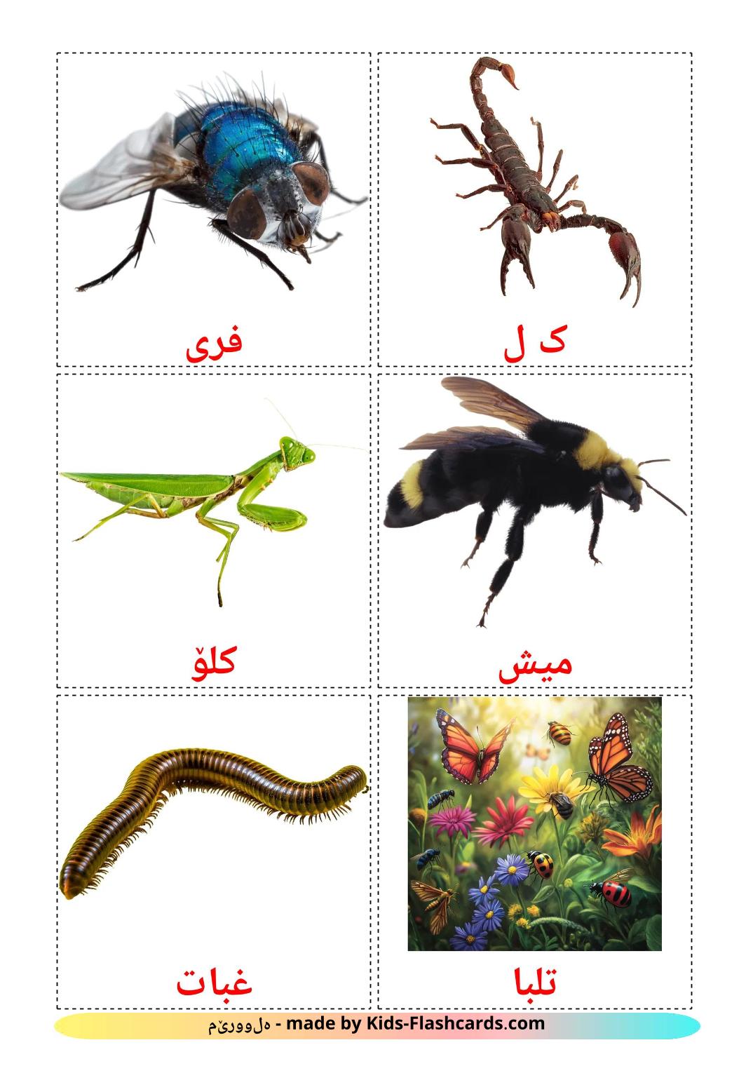 Les Insectes - 24 Cartes de vocabulaire kurmanj(kurde) imprimables gratuitement