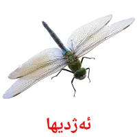 ئه‌ژدیها cartes de vocabulaire