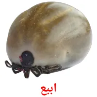 اببع cartes de vocabulaire