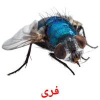 فری cartes de vocabulaire