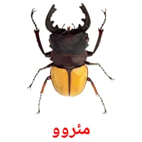 مئروو cartes de vocabulaire