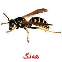 هه‌نگ cartes de vocabulaire