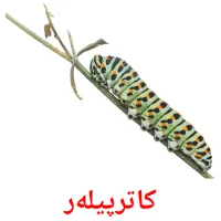 کاترپیله‌ر cartes de vocabulaire