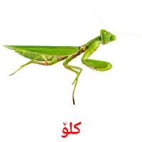 کلۆ cartes de vocabulaire