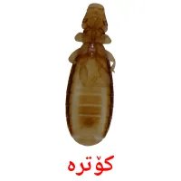 کۆتره‌ cartes de vocabulaire