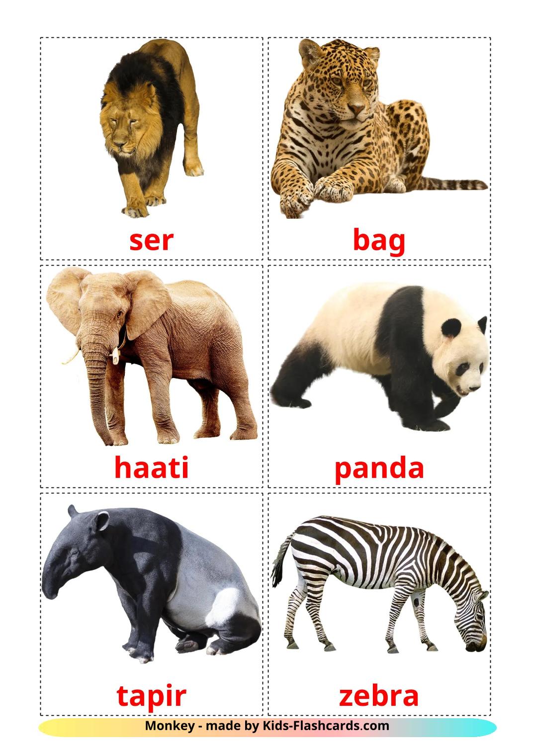 Jungle dieren - 22 gratis printbare koerdisch(kurmanj)e kaarten