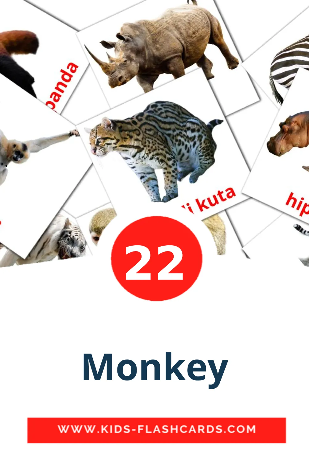 22 Monkey fotokaarten voor kleuters in het koerdisch(kurmanj)