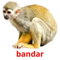 bandar ansichtkaarten