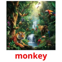 monkey ansichtkaarten