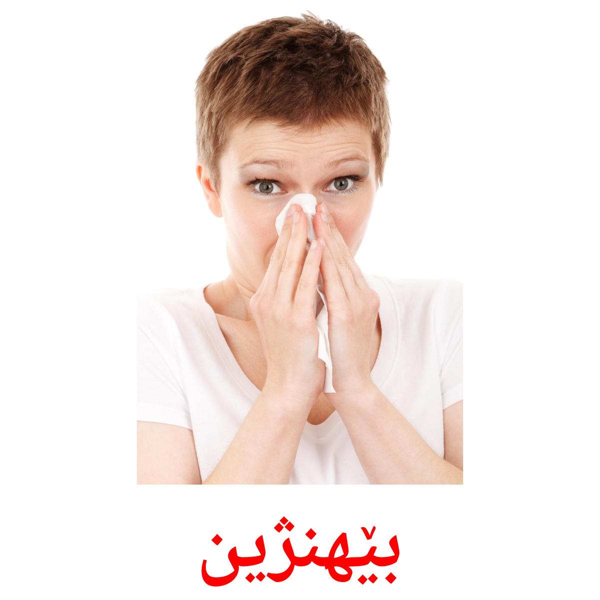 بێهنژین Bildkarten für Kinder