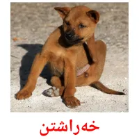 خەراشتن Bildkarten für Kinder