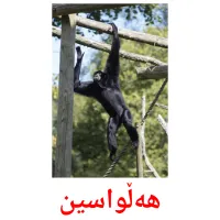 هەڵواسین Bildkarten für Kinder