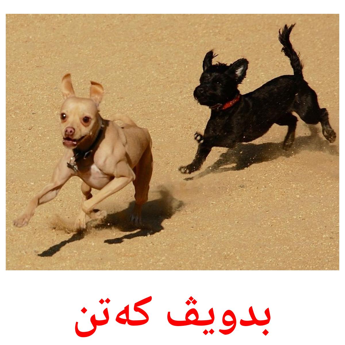 بدویڤ کەتن Bildkarten für Kinder