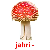 jahri - cartes de vocabulaire
