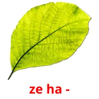 ze ha - cartes de vocabulaire
