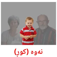 نەوە (کوڕ) cartes de vocabulaire