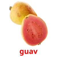 guav picture flashcards