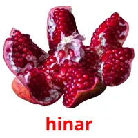 hinar picture flashcards