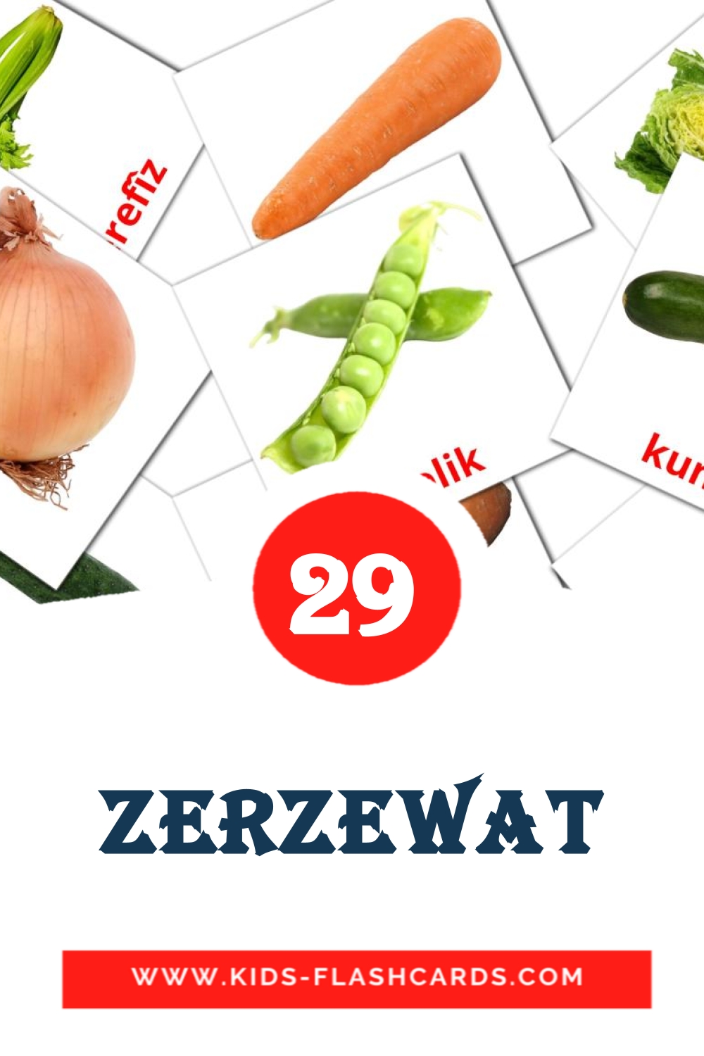 29 Zerzewat Picture Cards for Kindergarden in kurdish(kurmanj)