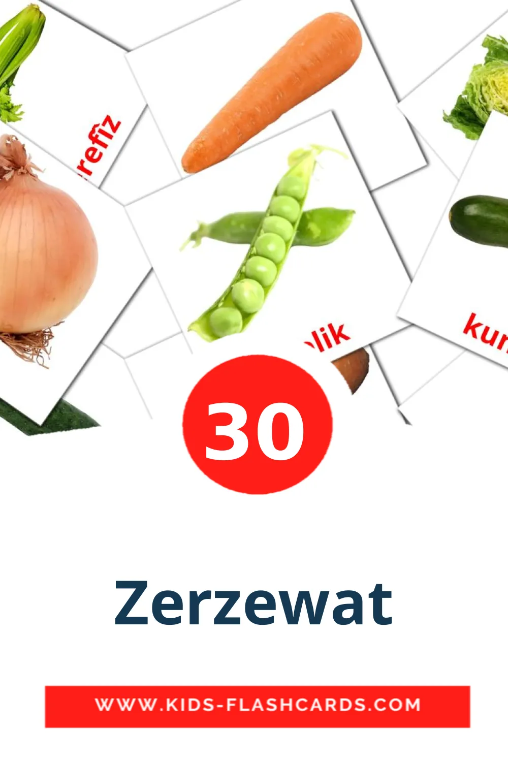 30 Zerzewat fotokaarten voor kleuters in het koerdisch(kurmanj)