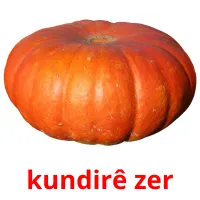 kundirê zer ansichtkaarten