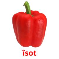 îsot picture flashcards