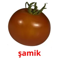 şamik ansichtkaarten