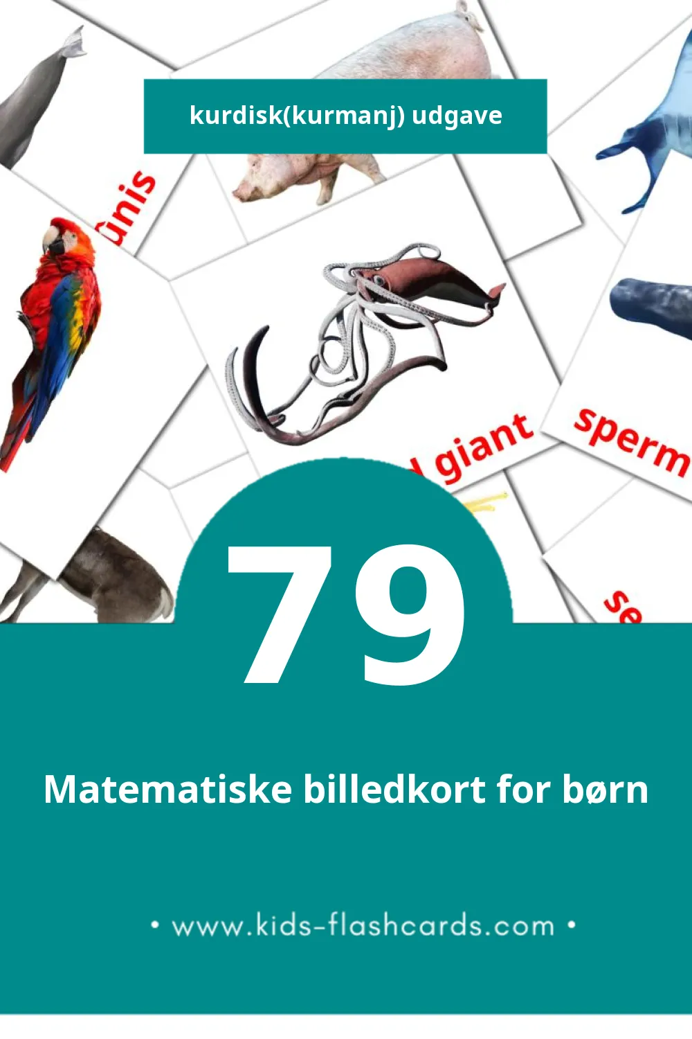Visuelle billedkort for børn om Candar til småbørn (79 kort på Kurdisk(kurmanj))