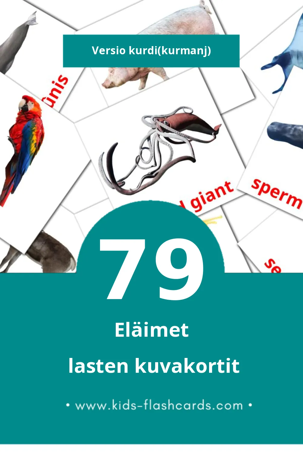 Candar lasten kuvakortit pikkulapsille (79 korttia Kurdiksi(kurmanj))