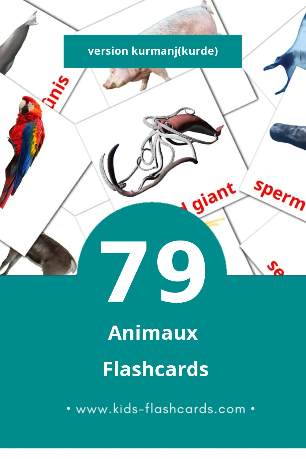 Flashcards Visual Candar pour les tout-petits (79 cartes en Kurmanj(kurde))