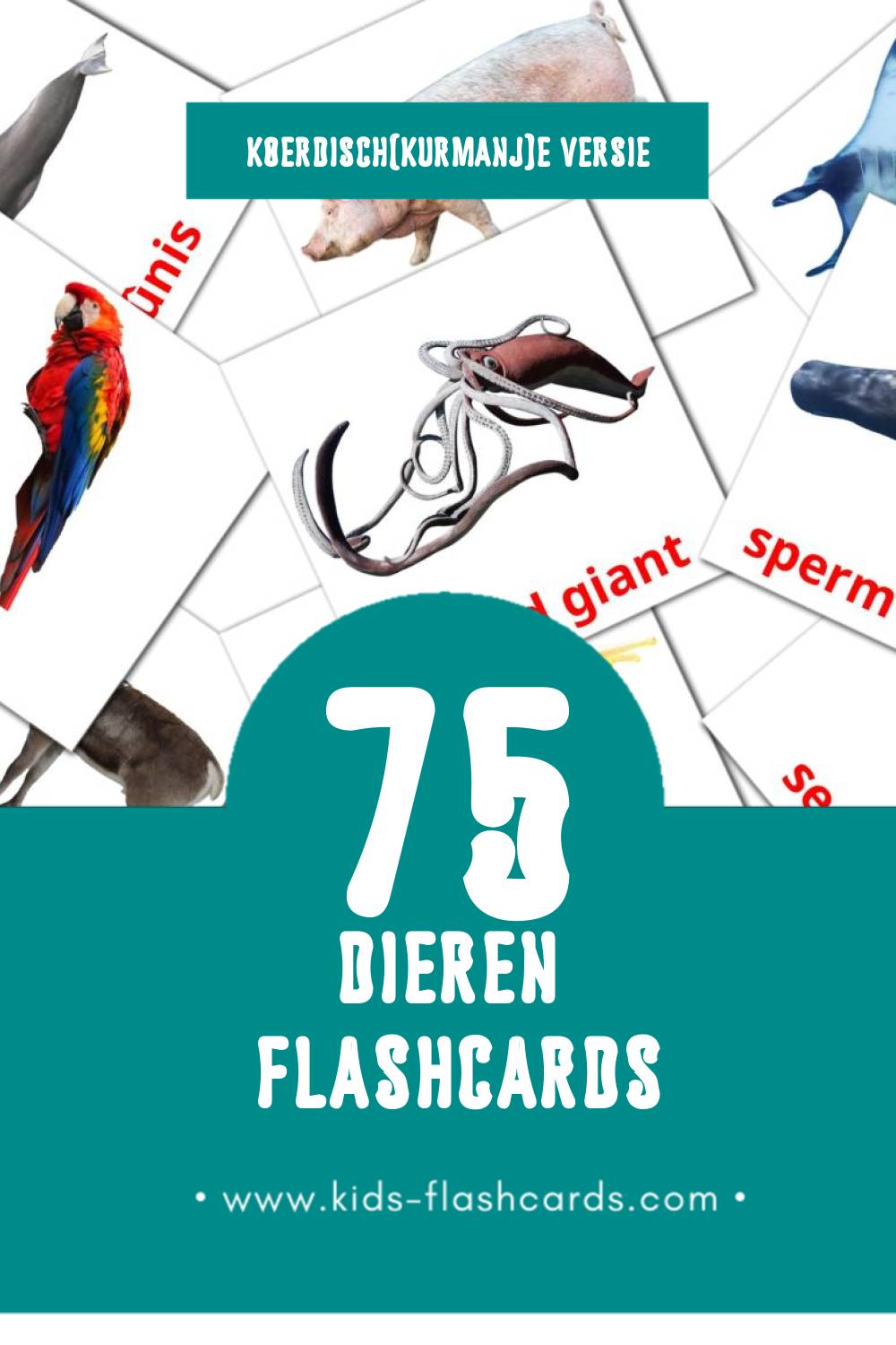 Visuele Candar Flashcards voor Kleuters (75 kaarten in het Koerdisch(kurmanj))