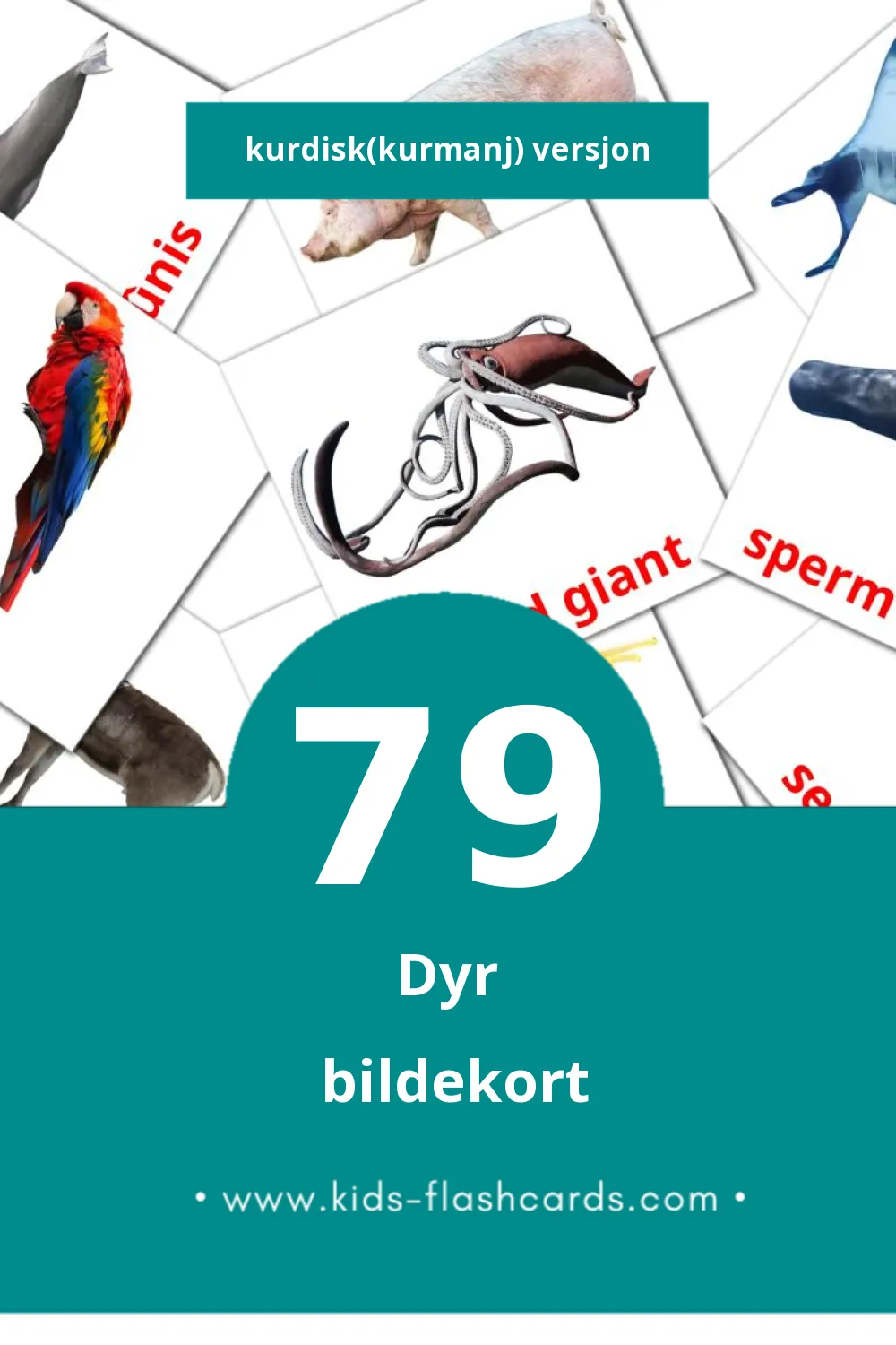 Visuelle Candar bildekort for småbarn (79 kort på Kurdisk(kurmanj))