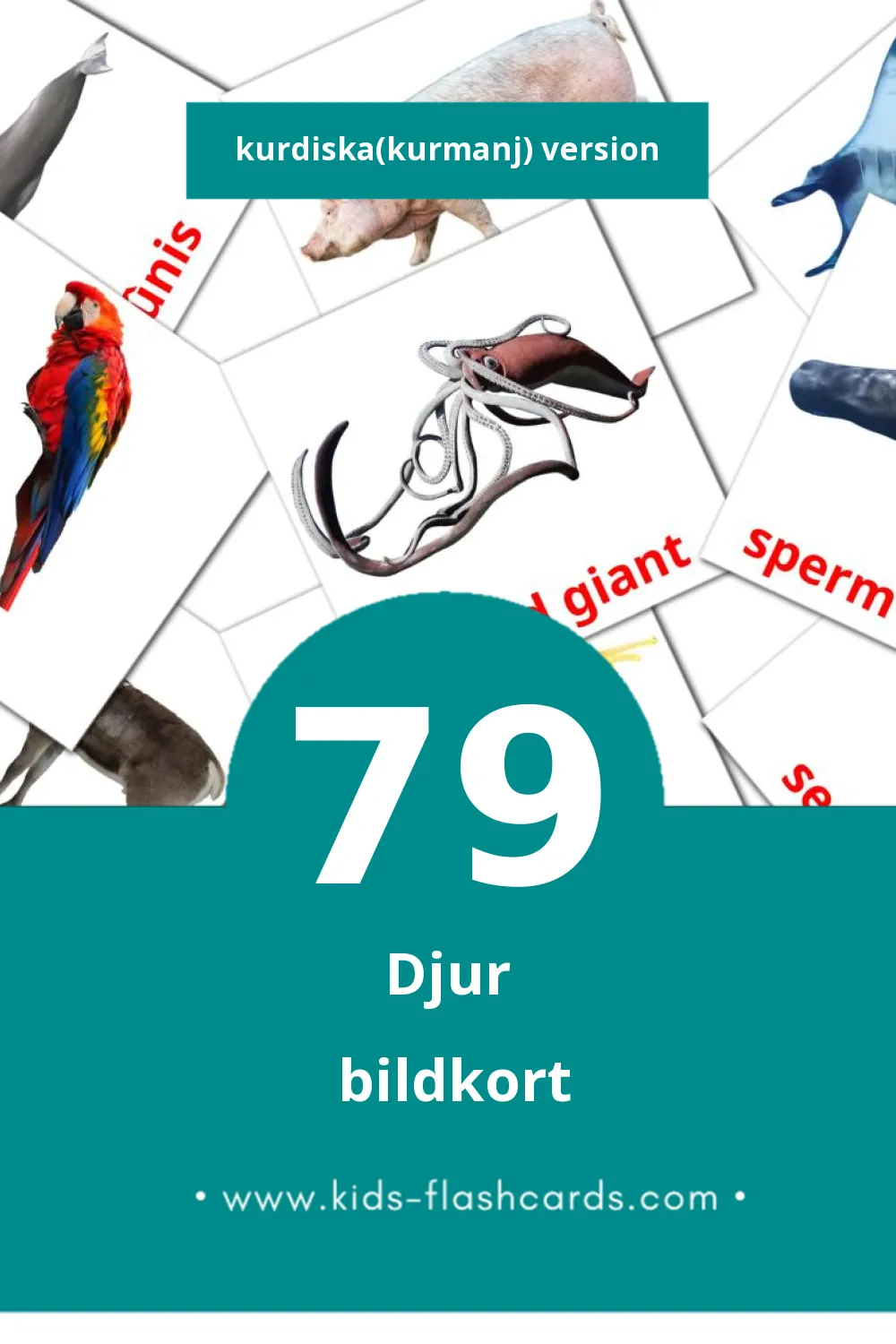 Visuella Candar för småbarn (79 bildkort för barn på Kurdiska(kurmanj))