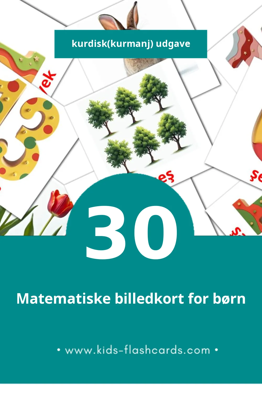 Matematîk lasten kuvakortit pikkulapsille (30 korttia Kurdisk(kurmanj))