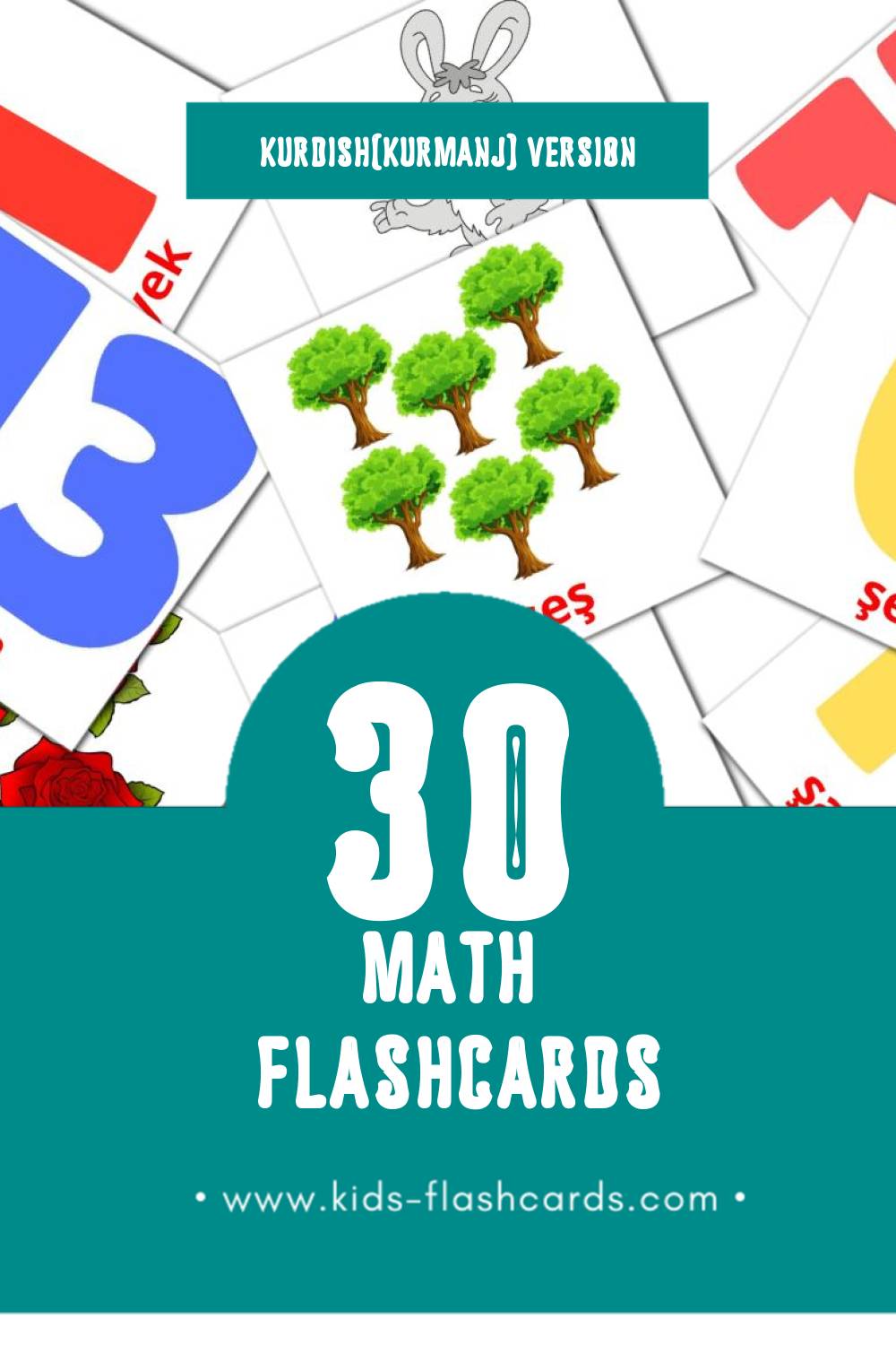 Visual Matematîk Flashcards for Toddlers (30 cards in Kurdish(kurmanj))