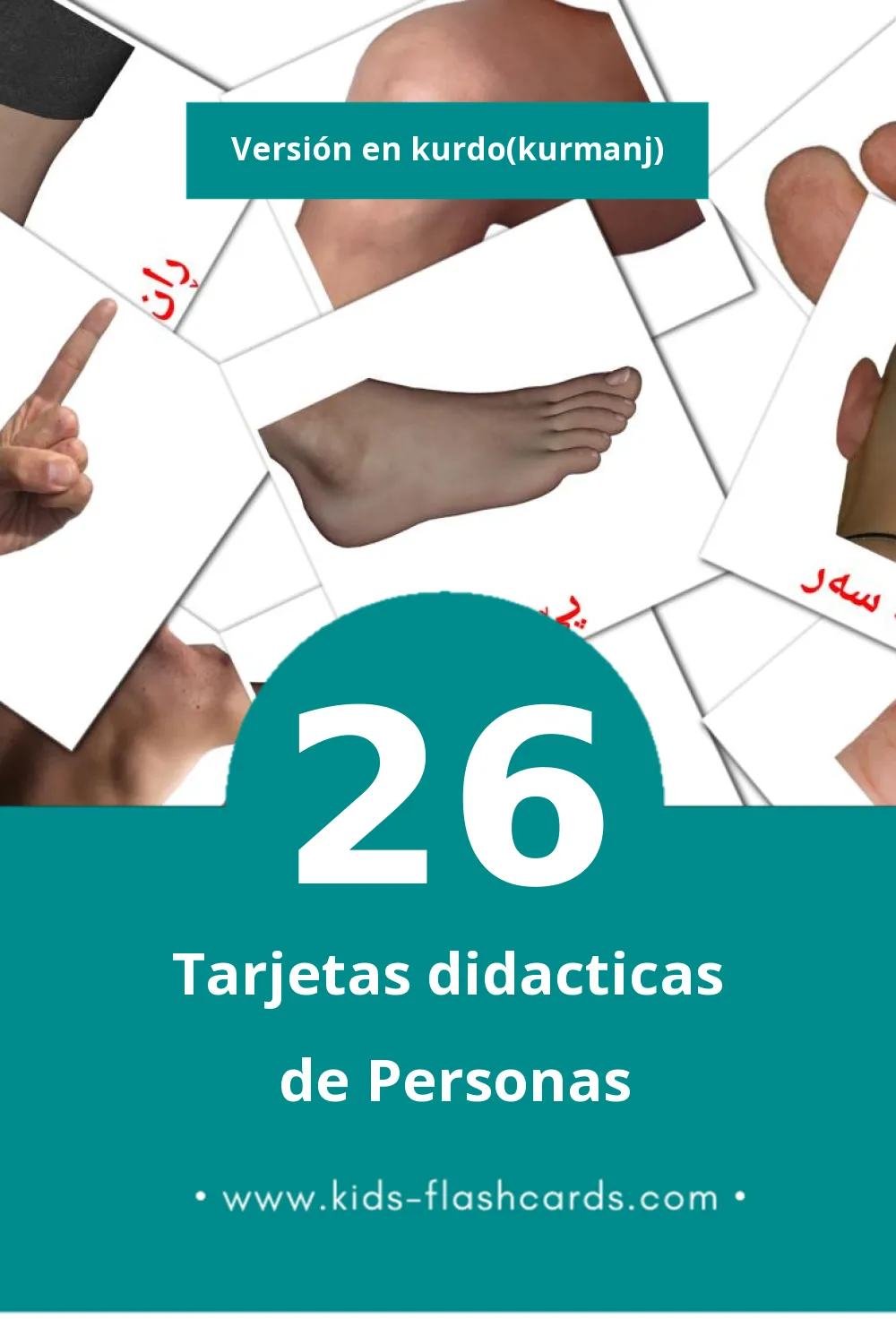 Tarjetas visuales de مرۆڤ para niños pequeños (26 tarjetas en Kurdo(kurmanj))