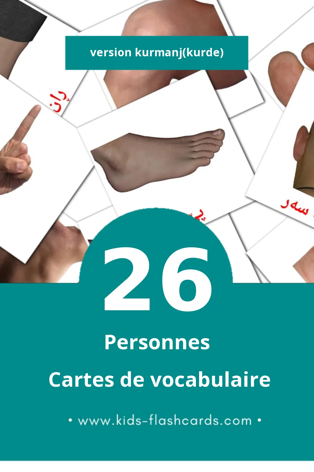 Cartes de vocabulaire Visuelles مرۆڤ pour les Tout-Petits (26 Cartes en Kurmanj(kurde))