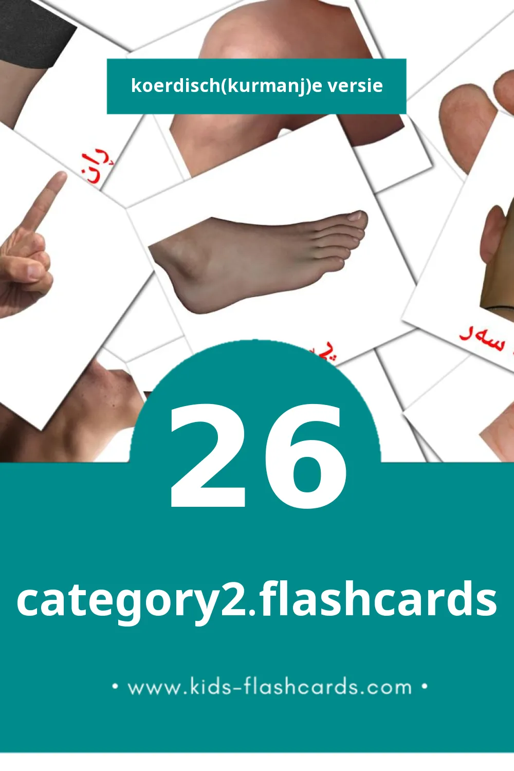 Visuele مرۆڤ Leerkaarten voor Kleuters (26 kaarten in het Koerdisch(kurmanj))