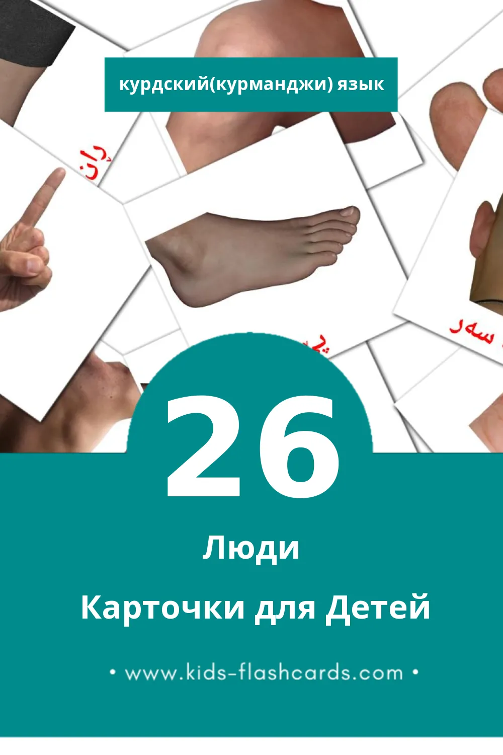 "مرۆڤ" - Визуальный Курдском(курманджи) Словарь для Малышей (26 картинок)