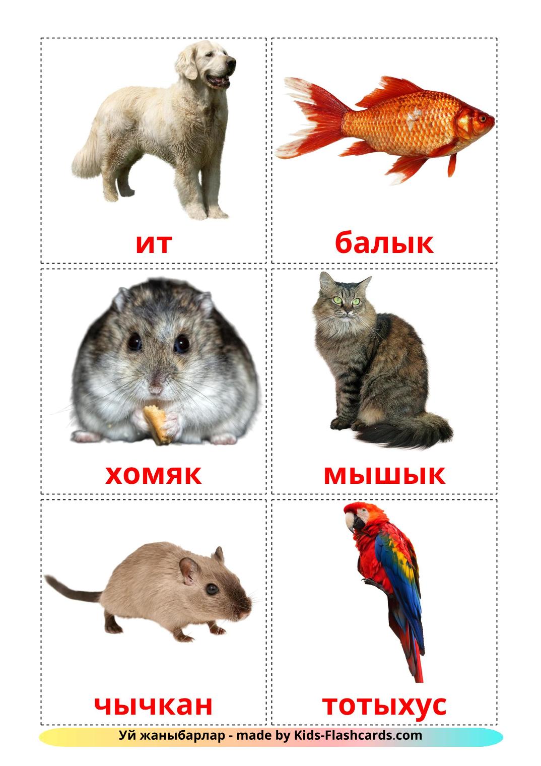 Domestic animals - 10 Free Printable kyrgyz Flashcards 