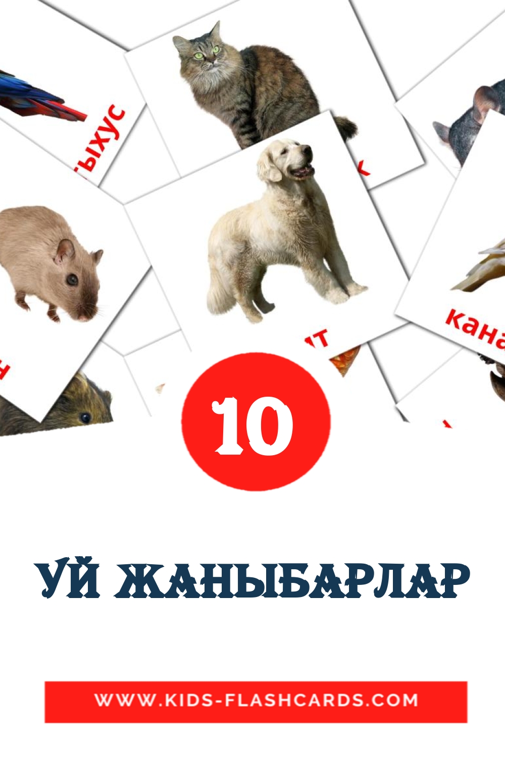 10 Уй жаныбарлар Picture Cards for Kindergarden in kyrgyz