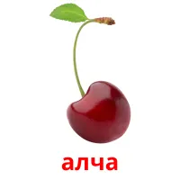 алча bildkort för barn